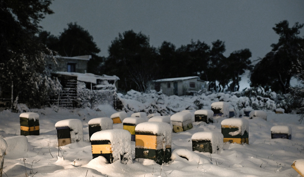 Σε ποιες περιοχές της Δυτικής Ελλάδας και της Πελοποννήσου καταγράφονται προβλήματα λόγω χιονιού