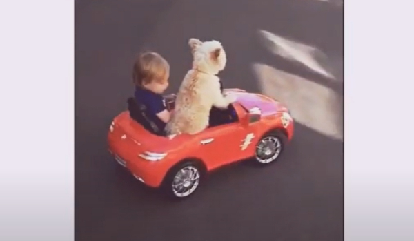 Απίστευτο βίντεο: Σκυλάκι οδηγεί αμάξι παρέα με τον μικρό του φίλο