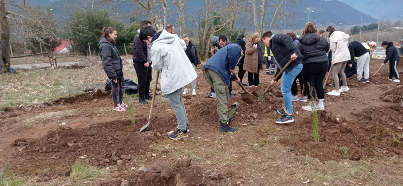 57_δέντρα_στη_μνήμη_των_νεκρών_στα_Τέμπη.jpg