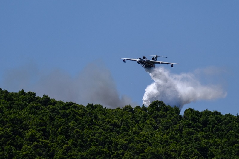 Fotia beriev