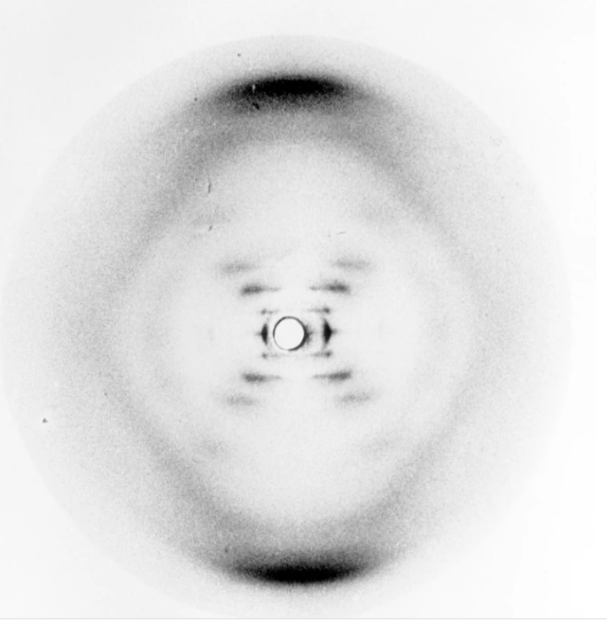 Photograph 51, DNA