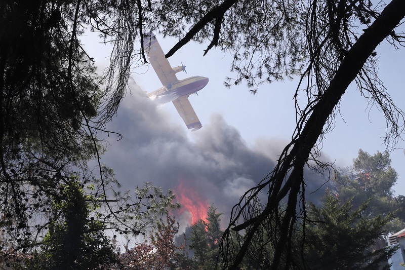 canadair pilotoi1