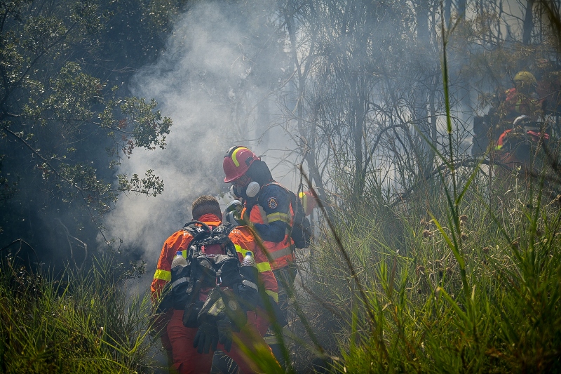 Φωτια τωρα, φωτια, Ηλεια, Πυργος, 112, Αρχαία Ολυμπια