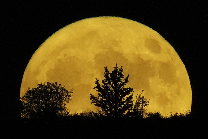 Κυπρος, Πανσεληνος