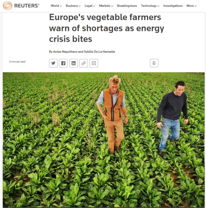 λαχανικά Ευρώπη Reuters