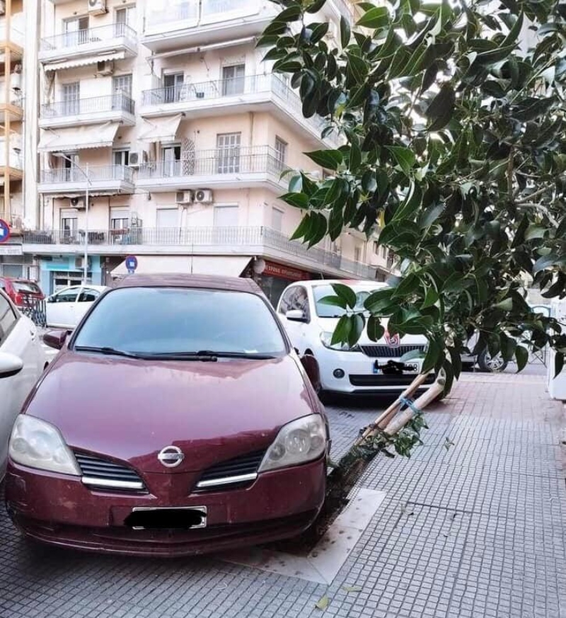 Θεσσαλονίκη: Πάρκαρε το αυτοκίνητό του πάνω σε δέντρο και το ρήμαξε