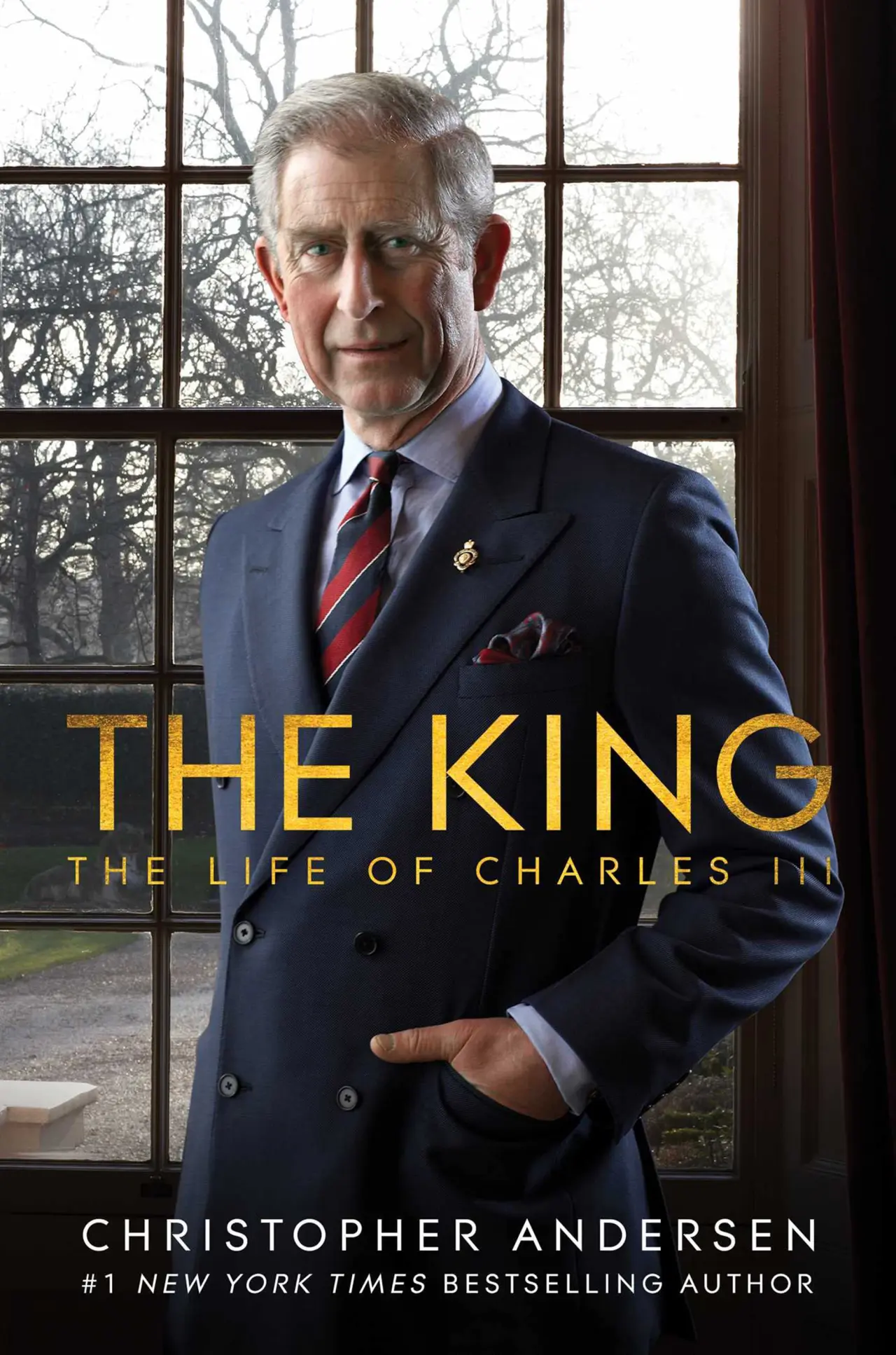 the king book cover