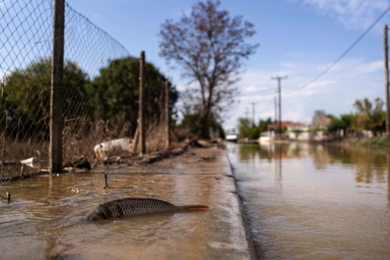 Θεσσαλια, πλημμυρες, κακοκαιρια Daniel, κακοκαιρια Elias, Guardian