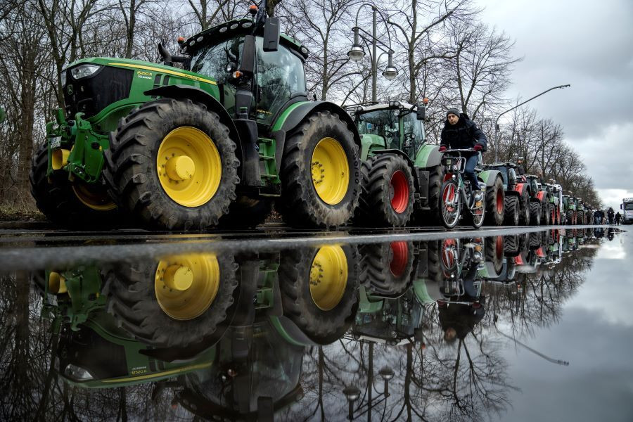 agrotes mploka germania de1a5