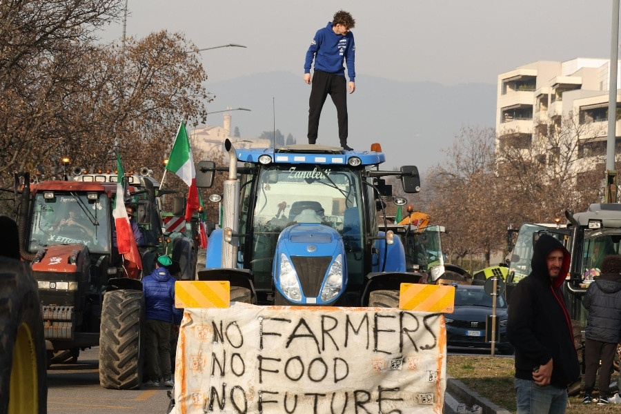 agrotes_sinthima_f8637.jpg