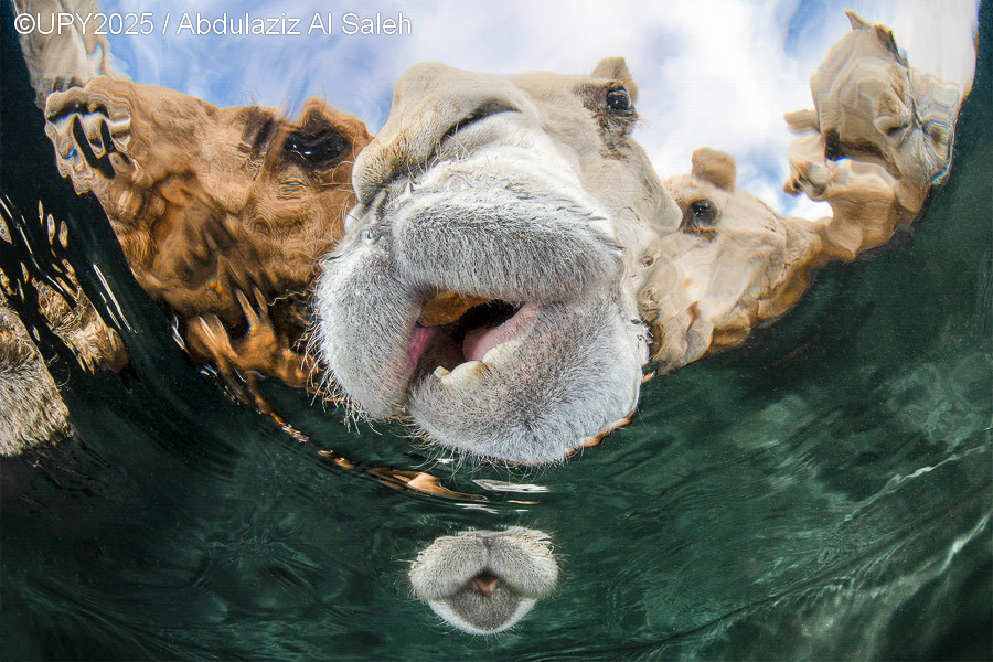 Hydration 06997