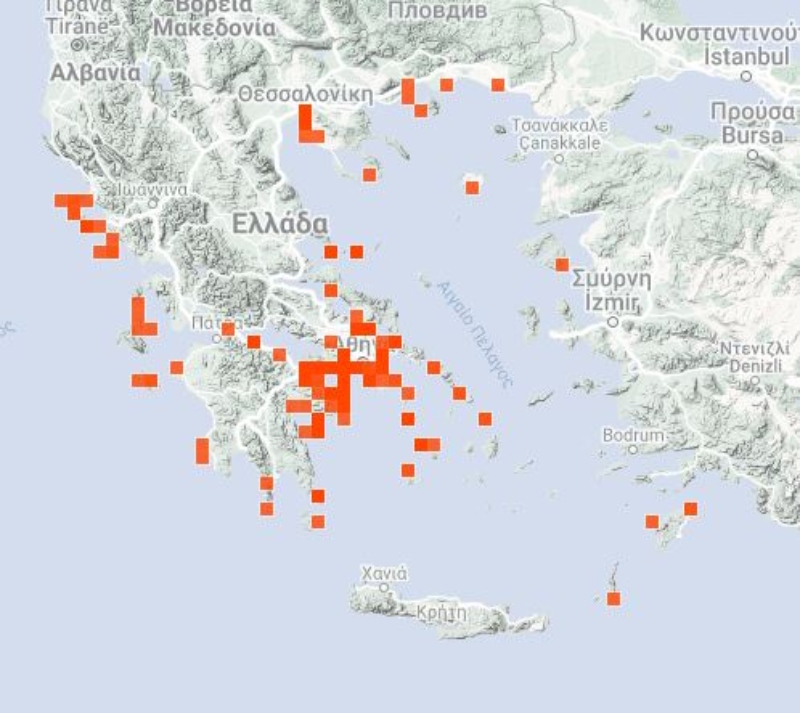 Μωβ μέδουσες χάρτης τσούχτρες παραλίες