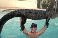 «Μπόγιας» κροκοδείλων πιάνει με τα χέρια αλιγάτορα που «άραζε» σε πισίνα