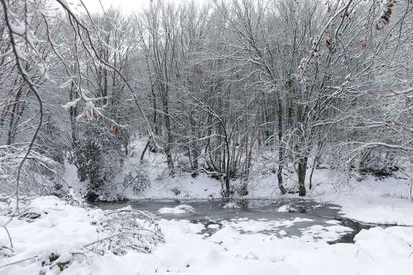 Το τσουχτερό κρύο επιστρέφει το Σάββατο - Τι λέει για χιόνια ο Κολυδάς