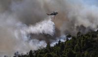 Φωτιά στον Έβρο: Στάχτη πάνω από 75.000 στρέμματα - Η πρώτη αποτίμηση με τις καμένες εκτάσεις