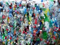 WWF Eλλάς: Τα αναγκαία μέτρα για να μειωθεί η πλαστική ρύπανση