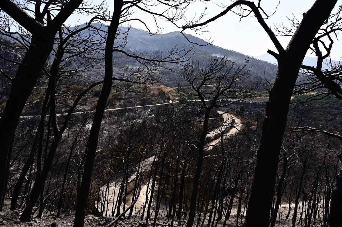 Οι «μαύροι» αριθμοί των πυρκαγιών: Σε τέσσερα 24ωρα κάηκαν πάνω από 200.000 στρέμματα γης