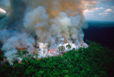 «Αμαζόνιος SOS»: Ο πνεύμονας του πλανήτη είναι στις φλόγες (video - photos)