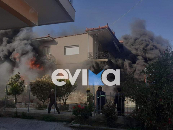 Εύβοια: Επιχείρηση τυλίχθηκε στις φλόγες
