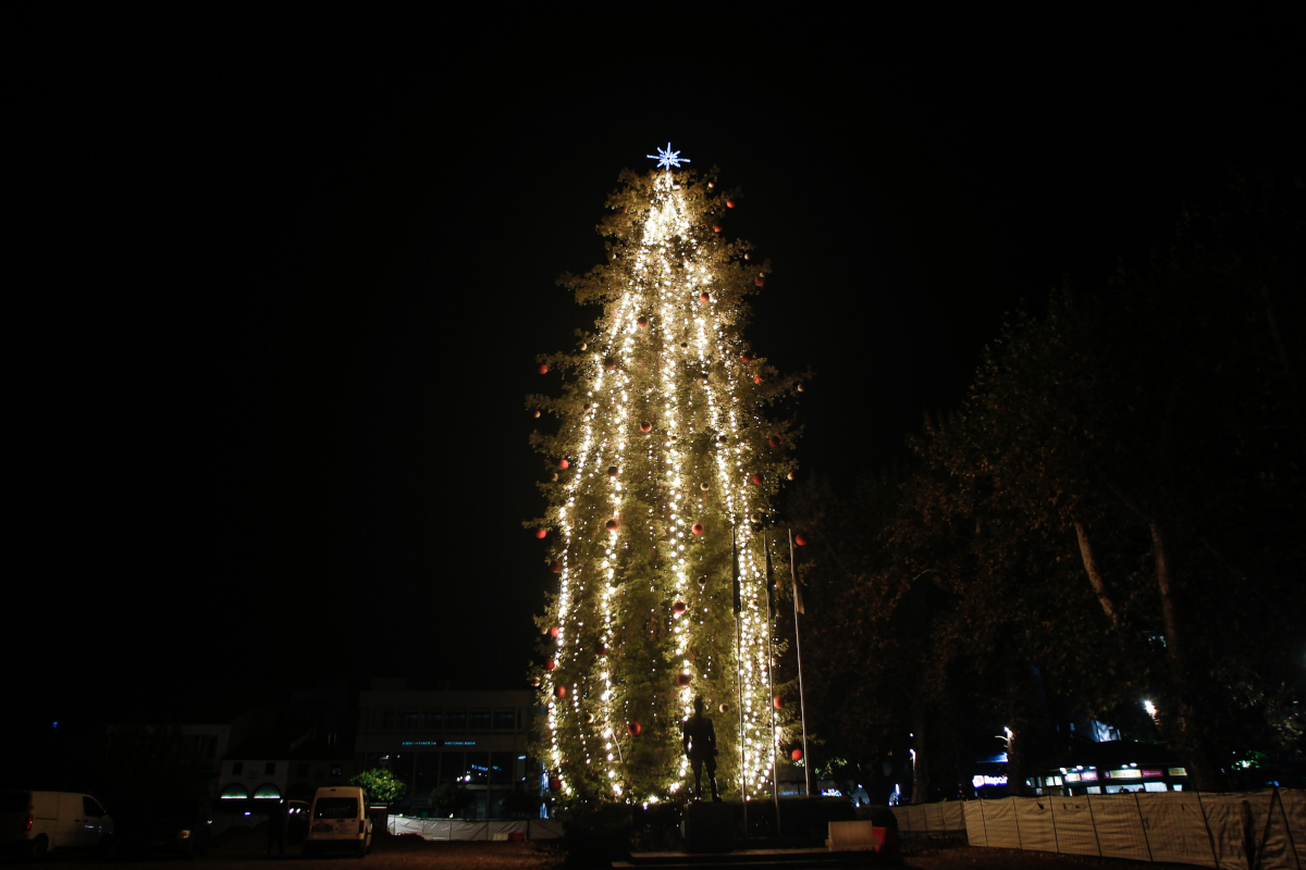 Τρίκαλα: Φωταγωγήθηκε το μεγαλύτερο φυσικό χριστουγεννιάτικο δέντρο της χώρας