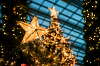Σύνδρομο χριστουγεννιάτικου δέντρου: Πώς το φυσικό στολισμένο έλατο κάνει κακό στην υγεία μας