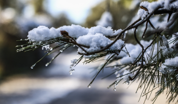 Χιόνια το Σαββατοκύριακο: Σε ποιες περιοχές της Αττικής θα χιονίσει