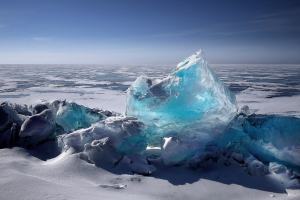 Σιβηρία: Παγωμένο ζώο «αναστήθηκε» μετά 24.000 χρόνια!