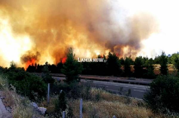 Φωτιά στο Μαρτίνο: Κλειστή παραμένει η εθνική οδός Αθηνών - Λαμίας (Vid)
