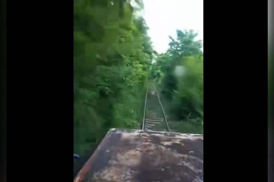Το τρένο περνά από «ζούγκλα» πριν από τη Δράμα (βίντεο)
