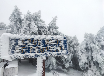 Νέες εικόνες από τη χιονισμένη Πάρνηθα: Το απόλυτο λευκό