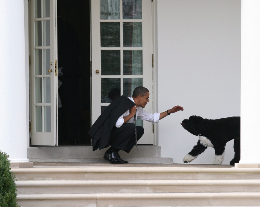 Συντετριμμένος ο Ομπάμα από την απώλεια του σκύλου του, Μπο