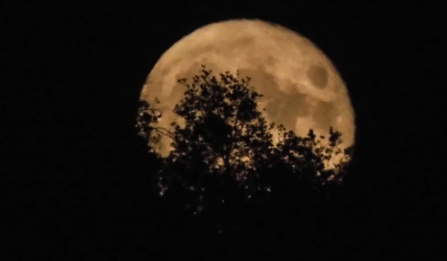 Πανσέληνος Ιουλίου 2023: Γιατί ονομάζεται «Φεγγάρι του Ελαφιού»