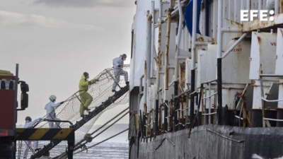 Ισπανία: Κατασχέθηκε κοκαΐνη αξίας 105 εκατ. ευρώ από ένα πλοίο μεταφοράς ζώων
