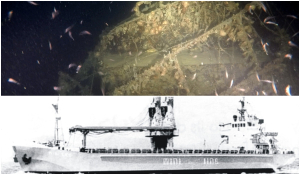 Βρέθηκε ναυάγιο στα Μέγαρα σε βάθος 222 μέτρων - Η ιστορία του MINI LORD που βυθίστηκε πριν 50 χρόνια