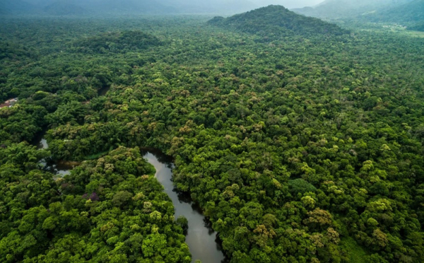 Αμαζόνιος: Ανακαλύφθηκε τεράστιο δίκτυο αρχαίων πόλεων