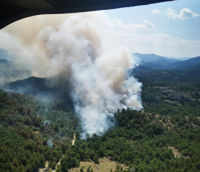 Στις φλόγες το Δάσος της Δαδιάς: Συγκλονιστικές φωτογραφίες - βίντεο από το ελικόπτερο του στρατού