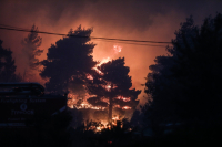 Έβρος: Μαίνεται η φωτιά στη Δαδιά - Μάχη από 70 βαρέα οχήματα και 140 πυροσβέστες
