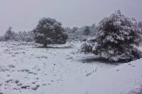 Χιόνι στα ορεινά της Περιφερειακής Ενότητας Τρικάλων