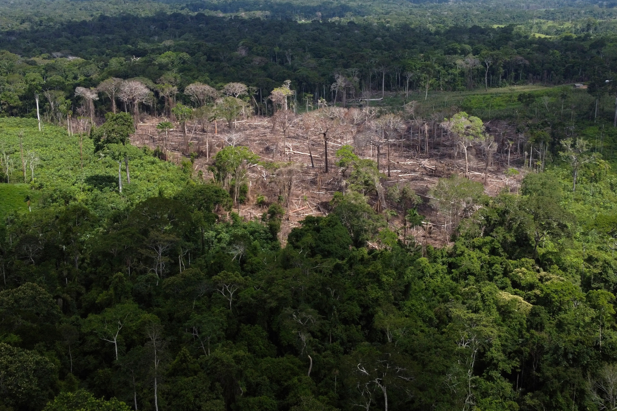 Πώς ο Λούλα «φρέναρε» την καταστροφή του Αμαζονίου σε 6 μήνες