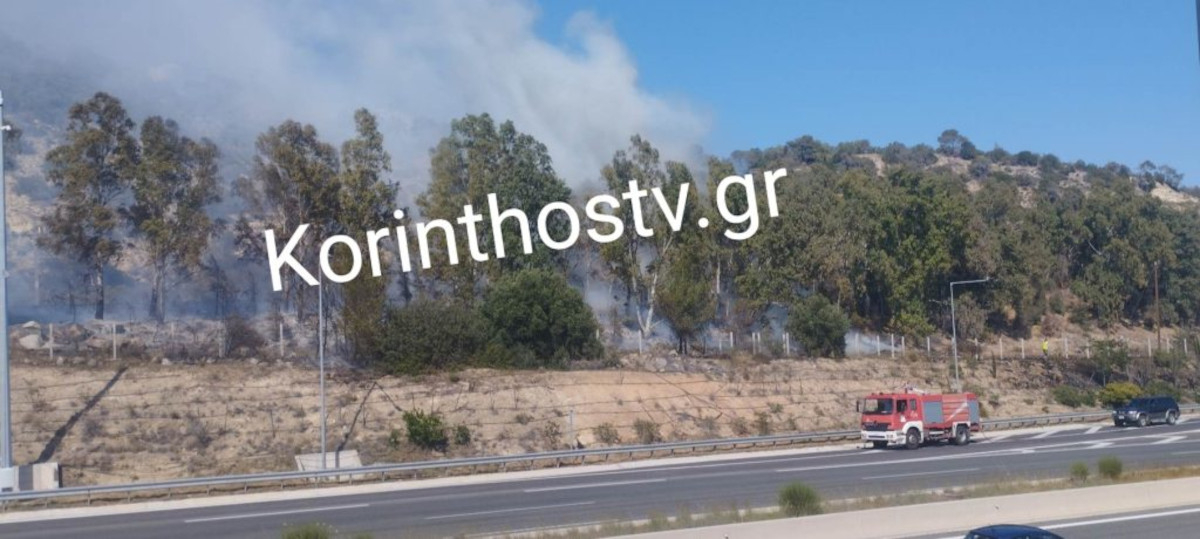 Φωτιά τώρα στην Αθηνών - Κορίνθου: Στο σημείο ισχυρές δυνάμεις της Πυροσβεστικής