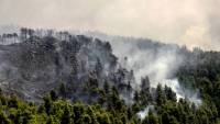 Φωτιά στην Εύβοια: Συνεχίζεται η προσπάθεια κατάσβεσης (video)