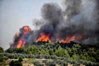 Κόρινθος: Εκτός ελέγχου ξανά η φωτιά στις Κεχριές