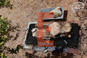 Άνω Λιόσια: Τα ντοκουμέντα της τραγωδίας - Σε αυτό το στρώμα έκαψε ο γιος τον πατέρα, ήταν νεκρός από τον Φλεβάρη