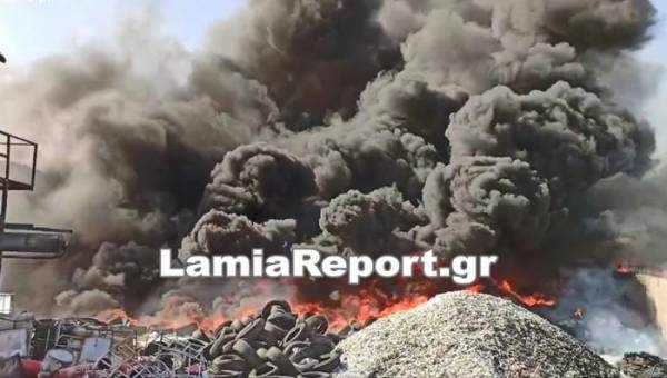 Αυλίδα: Μεγάλη φωτιά σε εργοστάσιο ανακύκλωσης (video)