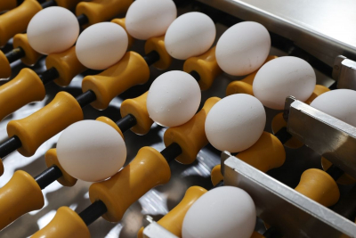 ΗΠΑ: Ξέσπασμα γρίπης των πτηνών «εκτόξευσε» κατά 44% την τιμή των αυγών