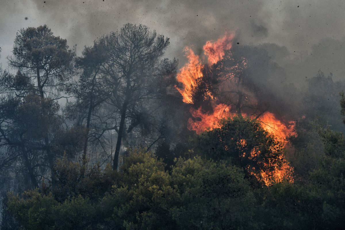 Κρήτη: Φωτιά τώρα στα Κεραμειά Χανίων