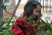 Κρήτη: 500.000 ευρώ για ψυχική οδύνη στην οικογένεια της 4χρονης Μελίνας