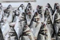 Κίνα: Φήμη ότι τα ψάρια μπορούν να μεταδώσουν τον κορονοϊό - Η απάντηση των ειδικών