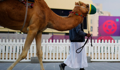 Γρίπη της καμήλας: Τα συμπτώματα και ποιοι κινδυνεύουν περισσότερο