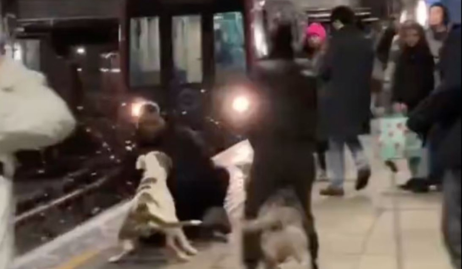Σοκαριστικό βίντεο: Παραλίγο να τον παρασύρει το Μετρό μετά από επίθεση σκύλου